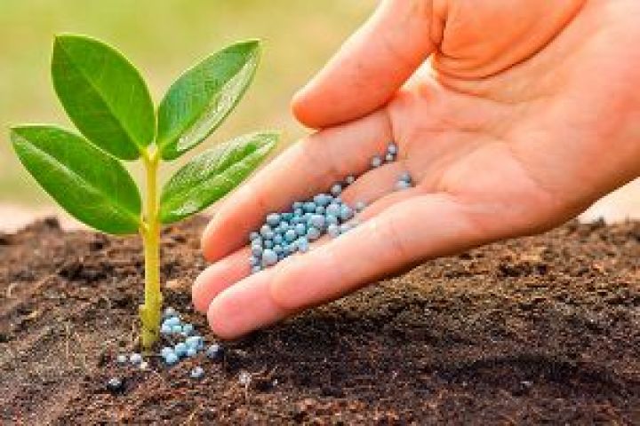 Засоби захисту рослин